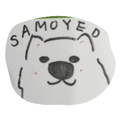 瘋狂狗狗一No.1          SAMOYED 薩摩耶篇