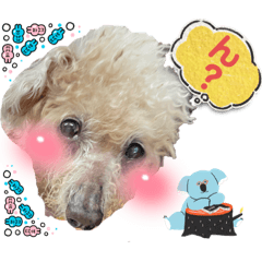 nao_20230509211904