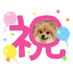kana_20230510000427