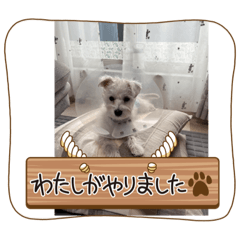 NAO_20230510105940