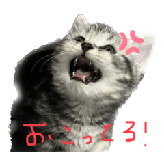 kana_20230510112304