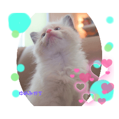 Alice_20230510085819