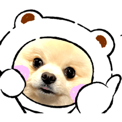 kizuna.y.T_20230510133142