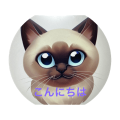 toshiko shimomura_20230510074206