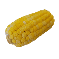 Food Series : Some Corn #7
