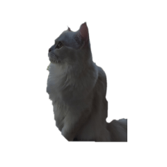 arisa_20230510184107