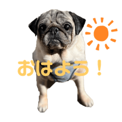 hana_20230510182332