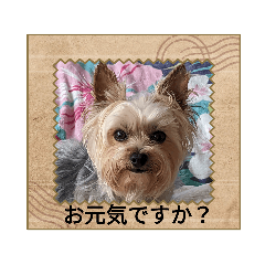 NAGAYO_20230511090041