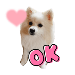 Chisa_20230510231444