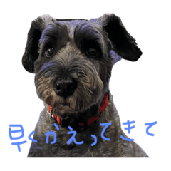 kana_20230510182409