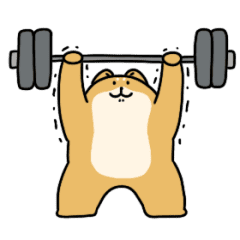 Muscle Shiba Inu (animated sticker)