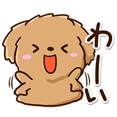 Chibi Toy poodle