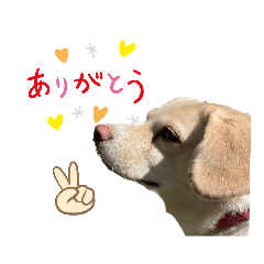 Sunny_20230511190656