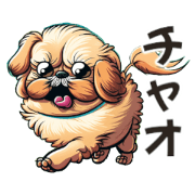 Child Innu's Chibimaru