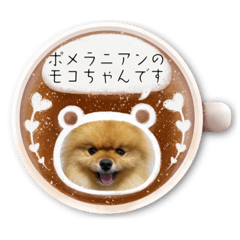 Pomeranian no mocochan_Coffee cup