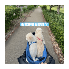 Sudo karen_20230512084738