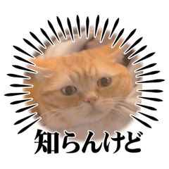 omochi_20230512010939