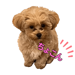 taru_20230512073026