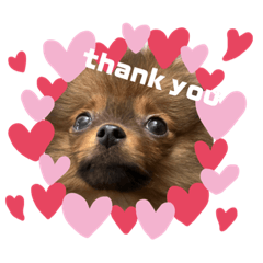 HIKARI_20230512005814