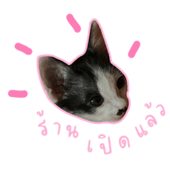 SaiiPan_20230511233739