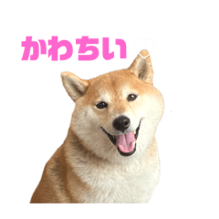 hana_20230511221415