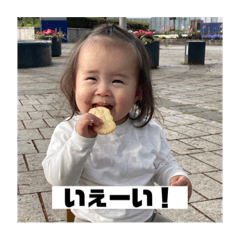 sakura_20230512115301