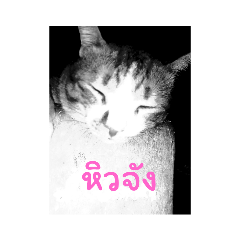 BlackWhiteandWhiteBlack