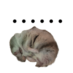 nao_20230511225220