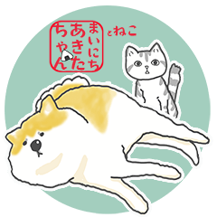 Akitachan and cats Akitainu