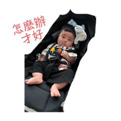 豐富的樂樂