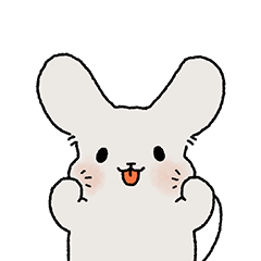 こんにちは！私はチンチラボンボンです。