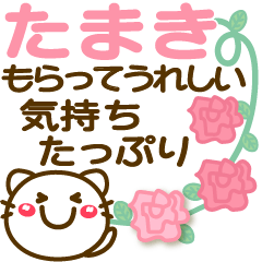 Simple pretty animal stickers 12 Tamaki