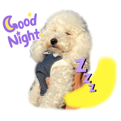 suzu_20230512142354