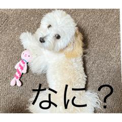 misa_20230512213737