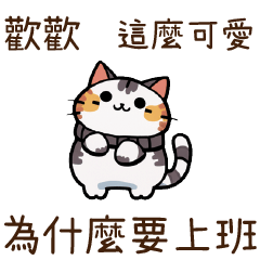 Cat Guide2Huanhuan