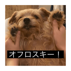 hana_20230512170039