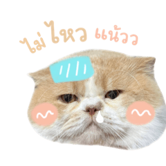 Mozy_20230512231605