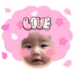 aoi_20230513020756