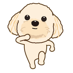 Toy Poodle Cocoa's moving sticker