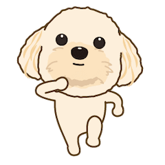 Toy Poodle Cocoa's moving sticker
