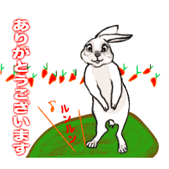Rabbit  Lover - 3