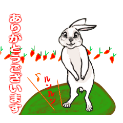 Rabbit  Lover / 3