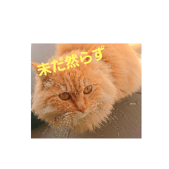 hana_20230513153949