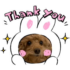 Infp_0319.choco