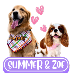 WOOFME WITH SUMMER AND ZOE