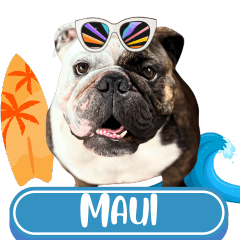 WOOFME WITH MAUI