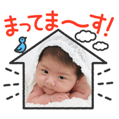 SHIHO_20230513181722