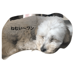 nao_20230513191023