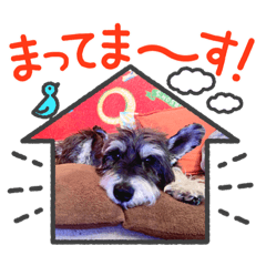 HIKARU_20230514000849