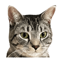 natsumi_20230513222638